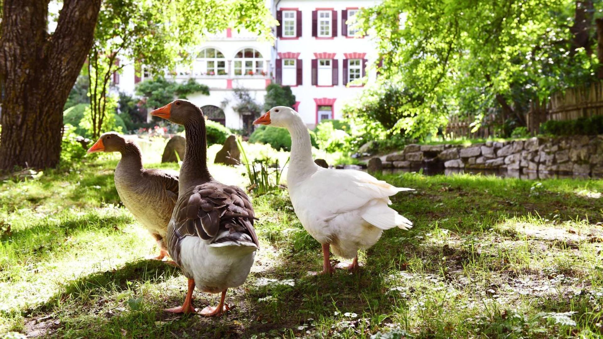 Castel Campan Guest House Bressanone Bagian luar foto